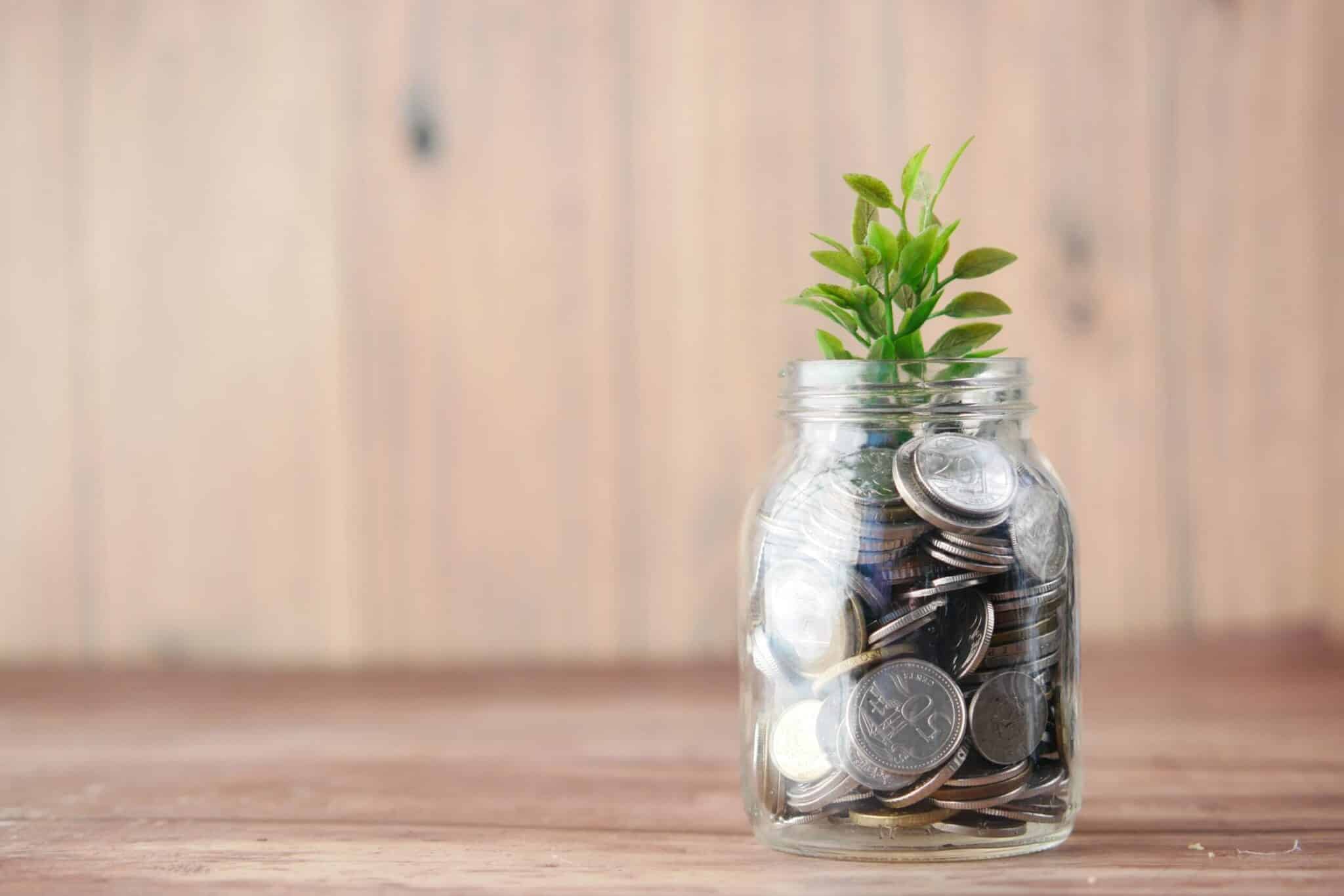 Glass jar of coins with small green plant