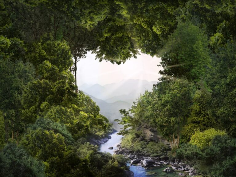Lush forest framing river and distant mountains