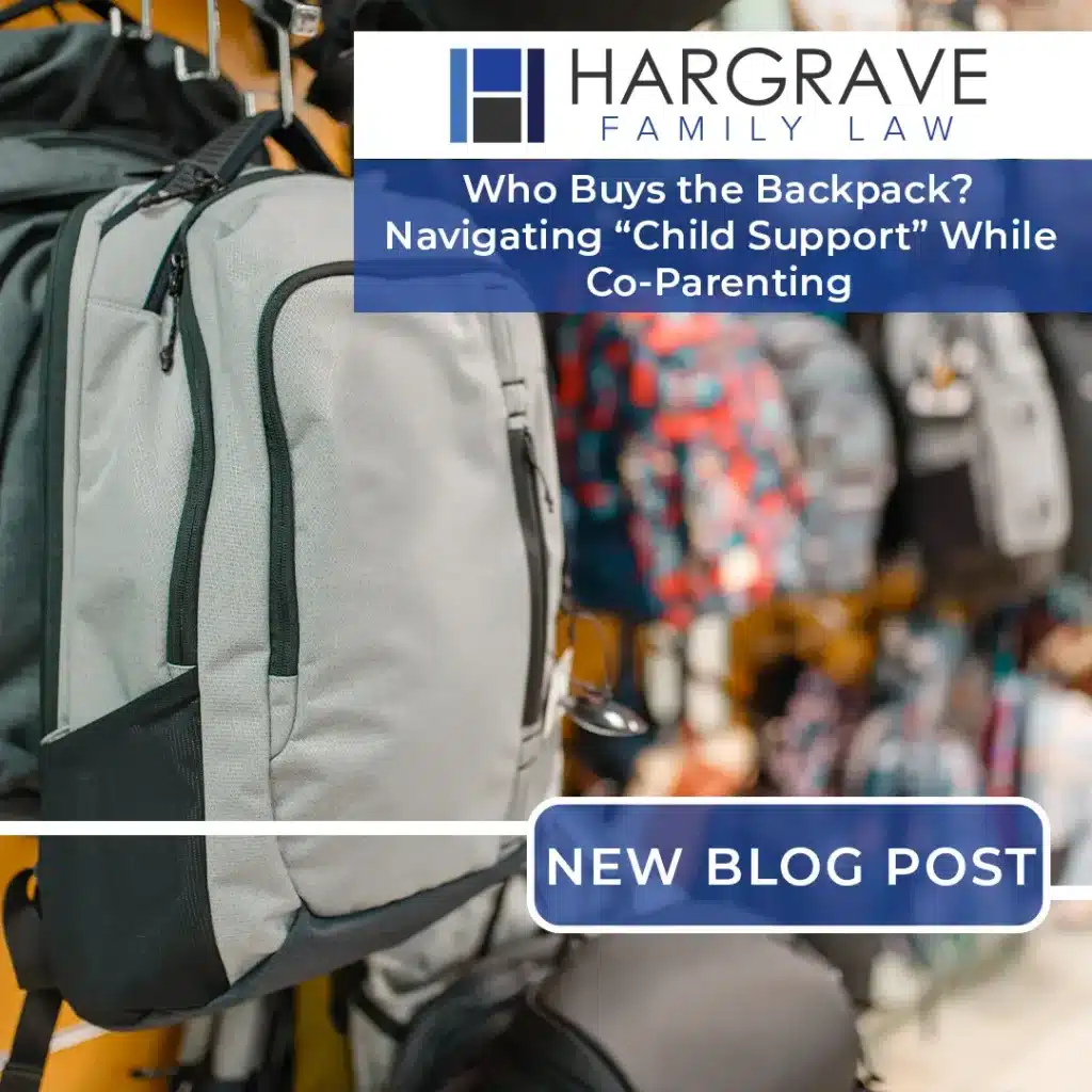 Backpacks on display with family law blog announcement