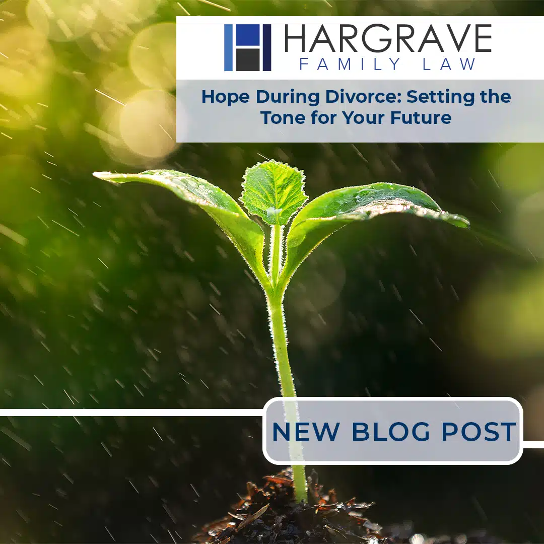 Green sprout growing in sunlight with water droplets