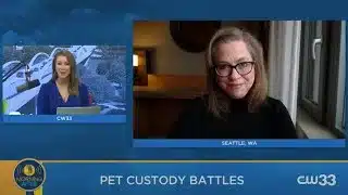 Split-screen news interview about pet custody battles