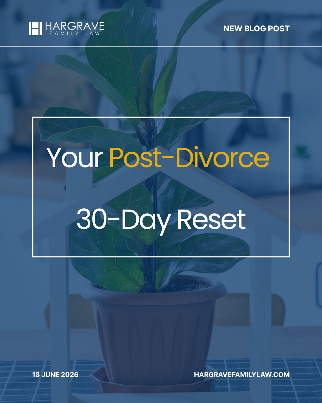 Potted plant inside house frame with blog text